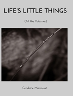 Life's Little Things 1006713816 Book Cover