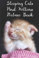 Sleeping Cats And Kittens Picture Book: For Seniors with Dementia, Alzheimer's, impaired memory, cognitive disability, intellectual decline, aging ... and caregivers. (Discreet Picture Books) B08JH4J6PR Book Cover