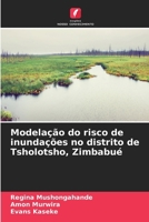 Modelação do risco de inundações no distrito de Tsholotsho, Zimbabué (Portuguese Edition) 6208766060 Book Cover