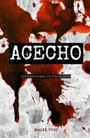 ACECHO: Reflejos sobre un vidrio roto (Spanish Edition) B0GD172TB9 Book Cover
