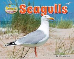Seagulls 1684024471 Book Cover