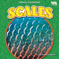 Scales B0CVFR7QG7 Book Cover