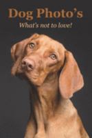 Dog Photo’s What’s not to love!: Secret Internet Address & Password Log Book for Dog Lovers 1691746851 Book Cover