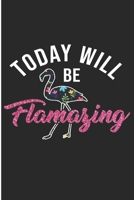 Today Will Be Flamasing: Sarcastic sayings Blank Lined Notebook 169452762X Book Cover