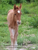 A Baby Horse Named Princess Rose: True Inspiration & Magic at Intentions Ranch 0984029613 Book Cover