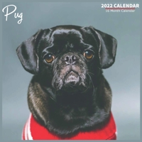 Pug Calendar 2022: Official Pug Dog Breed Calendar 2022, 16 Month Calendar 2022 B0F78JSGVW Book Cover
