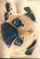 I THINK I PUG YOU! B0848RX2WS Book Cover