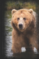 Journal: Lined Notebook With Beautiful Bear Design. Perfect Gift For Animal Lovers, Trendy Bear Journal For Kids, Perfect For School Or Work Notes 1709930721 Book Cover