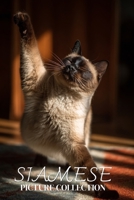 Siamese Cat Photo Collection: Beautiful Full-Page Pictures of Siamese Cats and Kittens for All Ages (Simple Photo Books). B0GG51VDZN Book Cover