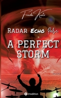Radar Echo Pulse: A Perfect Storm 3384170792 Book Cover