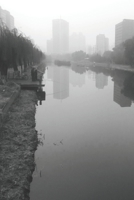 Essays: revised B0848TSZ5Q Book Cover