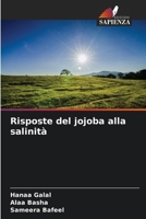 Risposte del jojoba alla salinità (Italian Edition) 6208564697 Book Cover