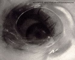 Notorious (Museum of Modern Art Oxford) 1901352064 Book Cover