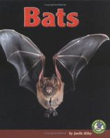 Bats (Early Bird Nature Books) 0822524163 Book Cover