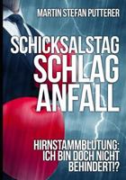 Schicksalstag Schlaganfall - Vers. B: Hirnstammblutung - Ich bin doch nicht behindert!? - Hydrocephalus 1983235814 Book Cover