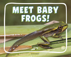 Meet Baby Frogs! (Adorable Baby Animals) B0GHQ3G7CJ Book Cover