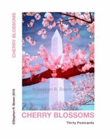 NATIONAL MALL: Thirty Eight postcards 0692603298 Book Cover