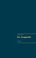 Der Junggeselle: Erzählungen 3744833747 Book Cover