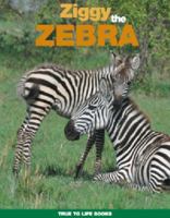 Ziggy the Zebra 0980872731 Book Cover