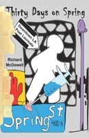 Thirty Days On Spring: A Junkie Needs Relief B089M41XKR Book Cover