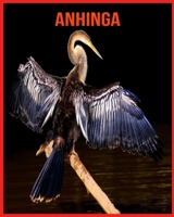 Anhinga: Super Fun Facts And Amazing Pictures B08W7SNKFS Book Cover