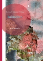 Baldachin: Psychografie 3757825519 Book Cover