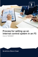 Process for setting up an internal control system in an FS: Case of "BEREBEN" 6200957193 Book Cover
