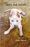 Chico and Goliath B0BL4XM96W Book Cover