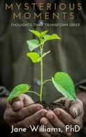 Mysterious Moments: Thoughts That Transform Grief 1618460293 Book Cover