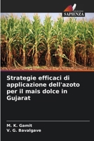 Strategie efficaci di applicazione dell'azoto per il mais dolce in Gujarat (Italian Edition) 6208616891 Book Cover
