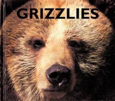 Grizzlies (Naturebooks) 1567662137 Book Cover