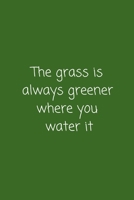 The grass is always greener where you water it: Lined Notebook Journal Diary Organizer 1694527565 Book Cover