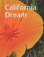 California Dream: Gold Rush to Computers 1722642424 Book Cover