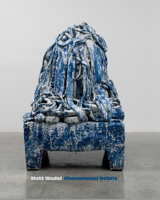 Matt Wedel: Phenomenal Debris 1646570332 Book Cover
