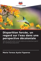 Disparition forcée, un regard sur l'eau dans une perspective décoloniale 6209124100 Book Cover