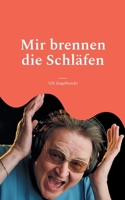 Mir brennen die Schläfen: Rockstorys Popgeschichten 3750435960 Book Cover
