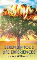 Serendipitous Life Experiences 0692643443 Book Cover