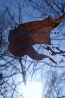 Through the Years 1105586480 Book Cover