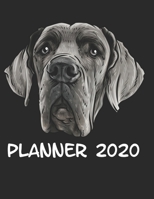 Planner 2020: Planner Weekly and Monthly for 2020 Calendar Business Planners Organizer For To do list 8,5“ x 11“ with Great Dane Dog Lover Breed Fun Humor Portrait 1670755126 Book Cover