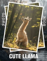 Cute Llama Photo Book: Charming Images Of Adorable Llamas Perfect For Kids And Adults To Enjoy B0DQ22J5H9 Book Cover