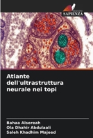 Atlante dell'ultrastruttura neurale nei topi (Italian Edition) 6630309014 Book Cover