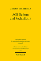 Agb-reform Und Rechtsflucht: Bedeutung Der Rechtsflucht Fur Die Agb-reformdebatte Im Unternehmerischen Rechtsverkehr (Studien Zum Auslandischen Und Internationalen Privatrecht) 3161606523 Book Cover