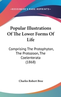 Popular Illustrations Of The Lower Forms Of Life: Comprising The Protophyton, The Protozoon, The Coelenterata 1164852957 Book Cover