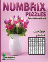 Numbrix Puzzles: Easy, Medium and Hard 1078111294 Book Cover