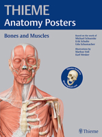 THIEME Anatomy Posters Bones and Muscles, Latin Nomeclature 1626231427 Book Cover