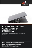CLASSI VIRTUALI IN CONDIZIONI DI PANDEMIA: Il caso degli studenti del Corso di Laurea in Marketing 6206202380 Book Cover