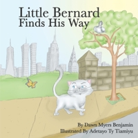 Little Bernard Finds His Way 0615338429 Book Cover