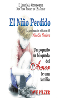 El Niño Perdido: Un pequeño en búsqueda del Amor de una familia 1713549468 Book Cover