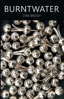 Burntwater 1646624173 Book Cover