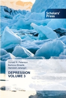 Depression Volume 3 6138943724 Book Cover
